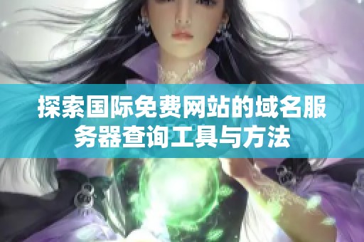 探索国际免费网站的域名服务器查询工具与方法