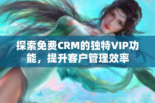 探索免费CRM的独特VIP功能，提升客户管理效率